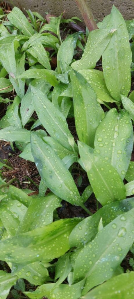 17867fff-6261-46ad-8bbc-2737d4d10673