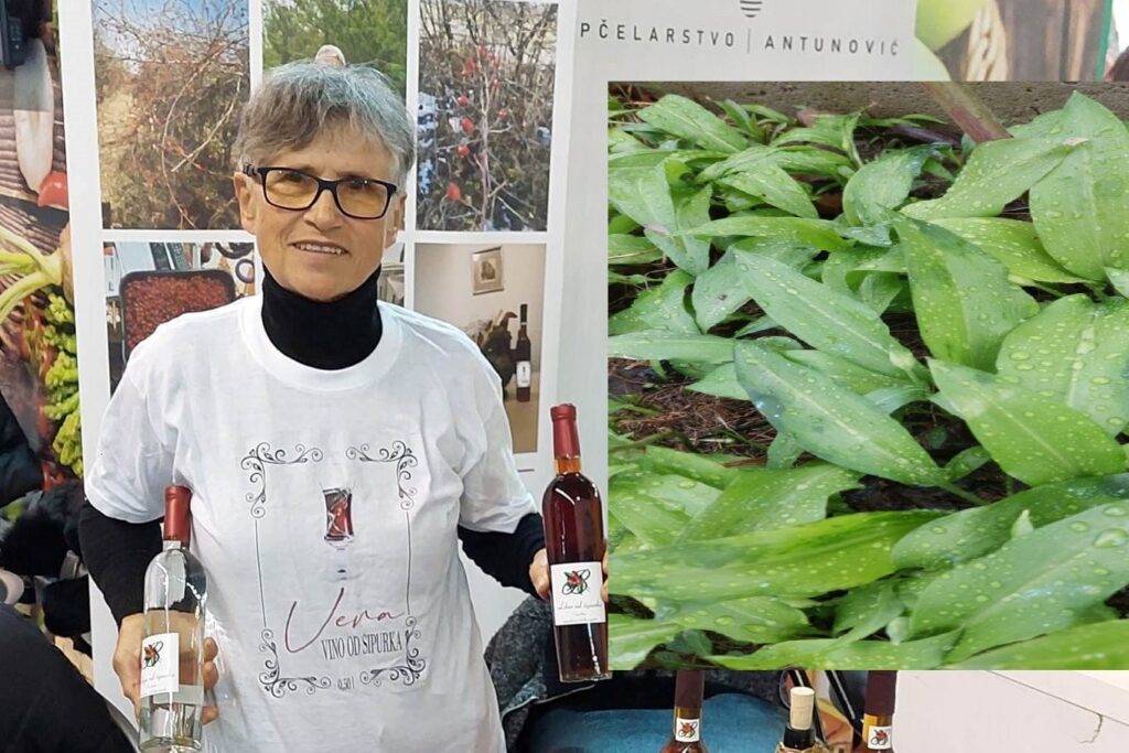 316139606_697789668646611_7995327434823955162_n-1