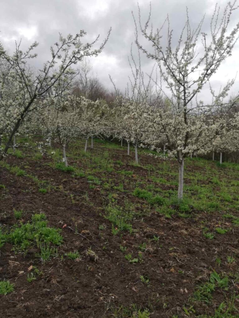 42b7d779-1297-498c-9d63-34c921b8abe2 (1)