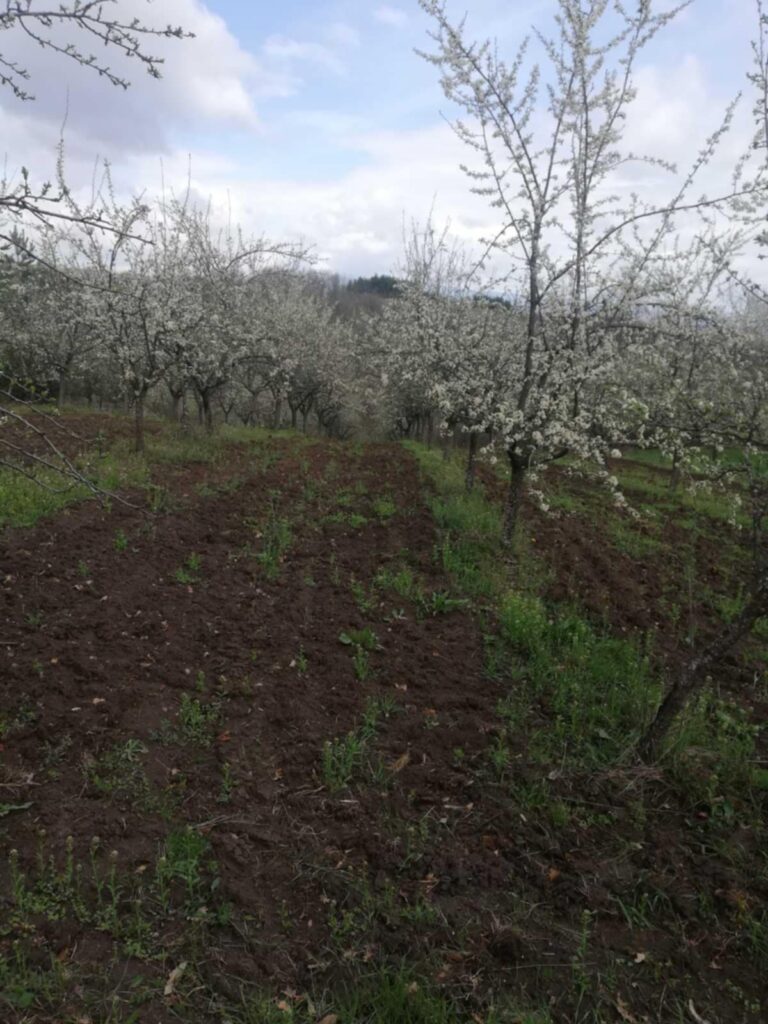 a88bbc9c-1a82-4ca0-8360-dc01289897c9