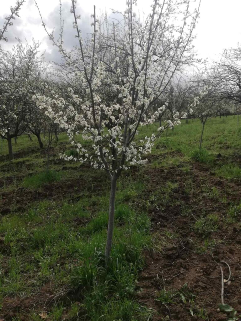 d1b4d293-2e0c-409b-952b-f3c2c8a61e05