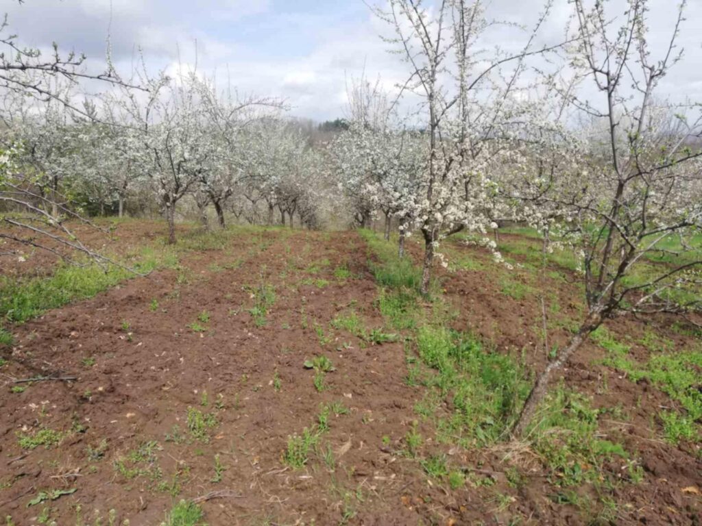 fdd7d8de-b312-4218-bf74-efc6cde18e6b (1)