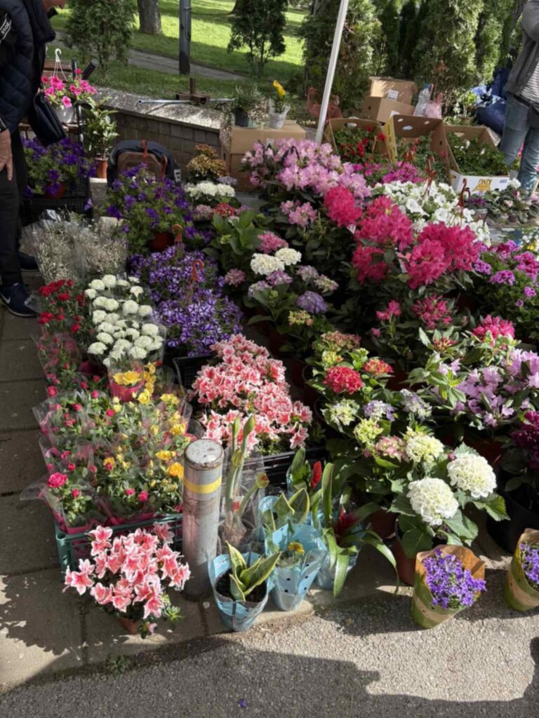 0a4c94b8-390e-4b0c-8b8f-4cb981264467