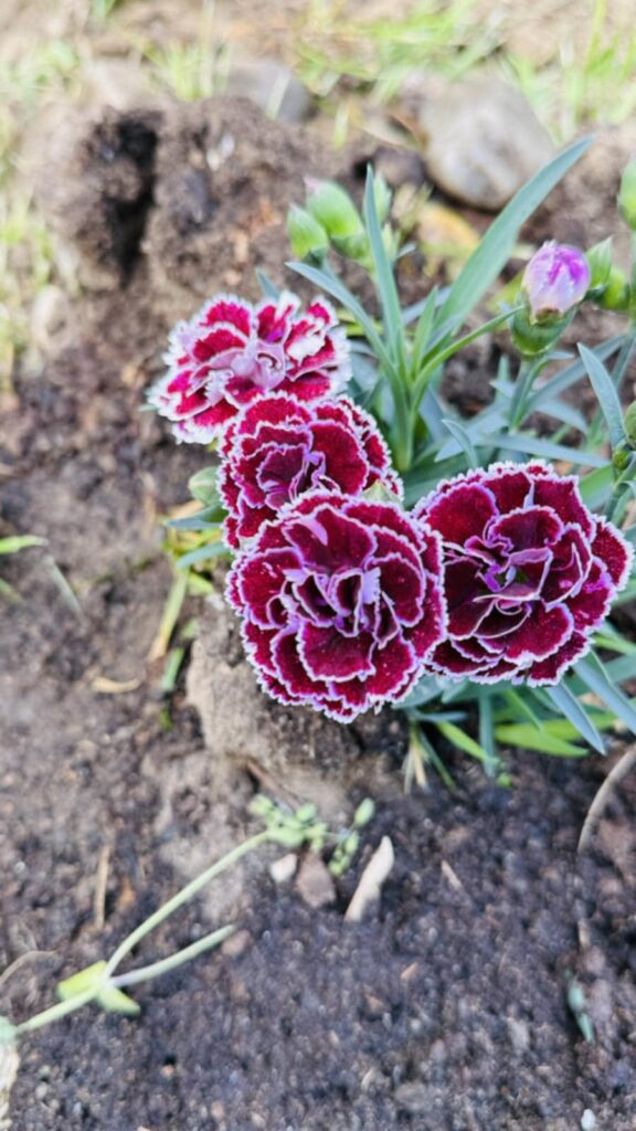 15ca9142-7f44-42c5-b4a2-ef5f3f32a967