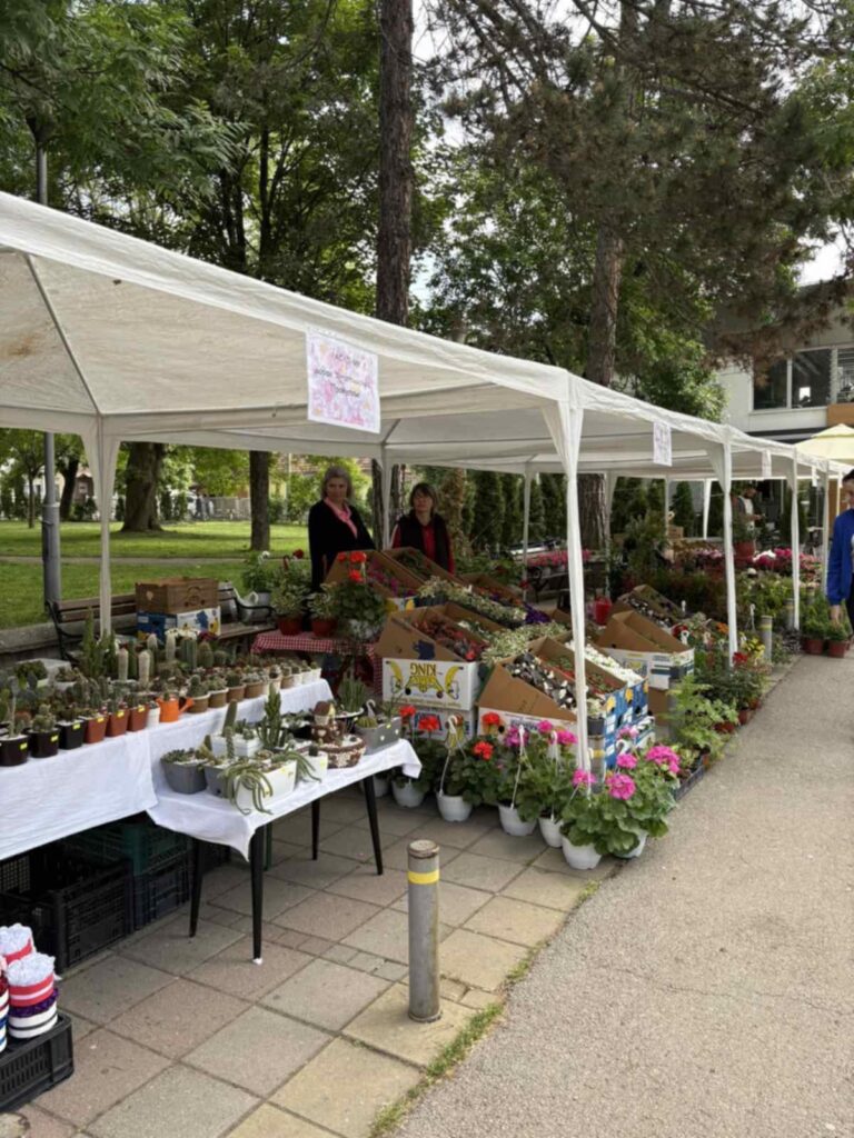 24cbe345-ab20-4259-b73b-5505bc41f12b