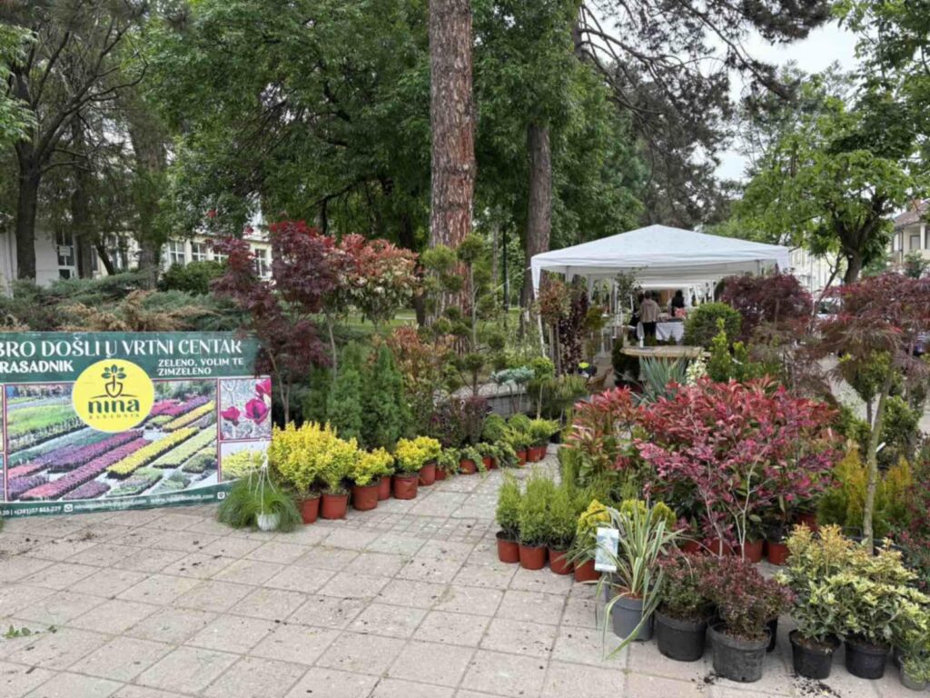 31c45a5e-afeb-40bf-a1bb-0a34e359abcf