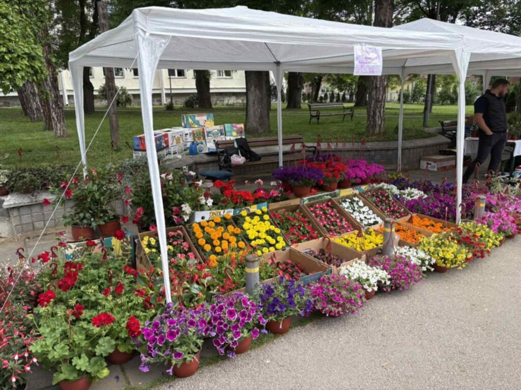 42e26a02-9f41-46d7-a235-b13c21dc69af