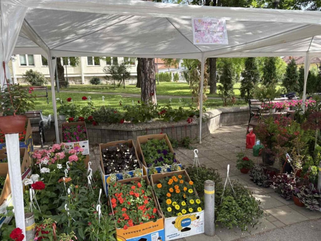 44b653db-54db-4a53-979a-9485bd0e3812