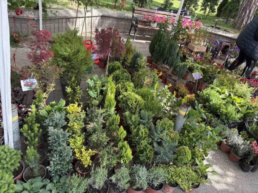 6466d7ba-2488-4637-956c-f8af8a8be706