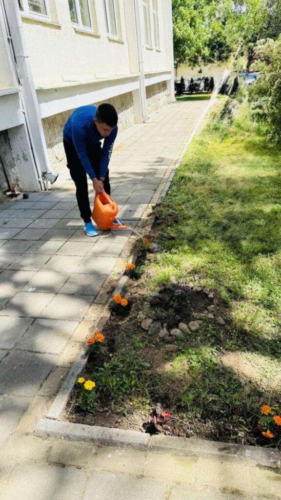 743bcaa7-746c-4596-bb73-db503e1552c6