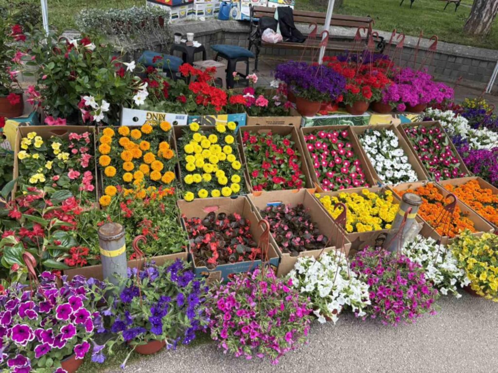 8b999ba7-f19c-41ed-a0f7-4ba77527e33c