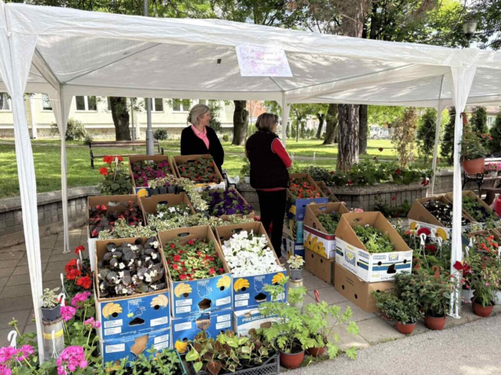 b014dd80-d099-4338-9299-07694d318daf