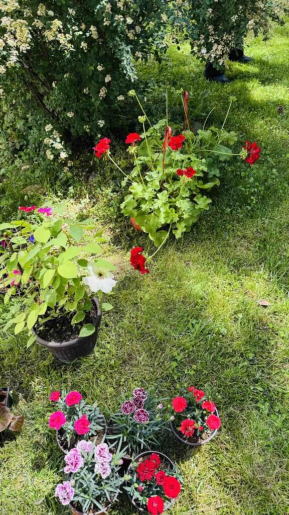 b3f493fb-634b-48b1-bf9d-7c357783f09c