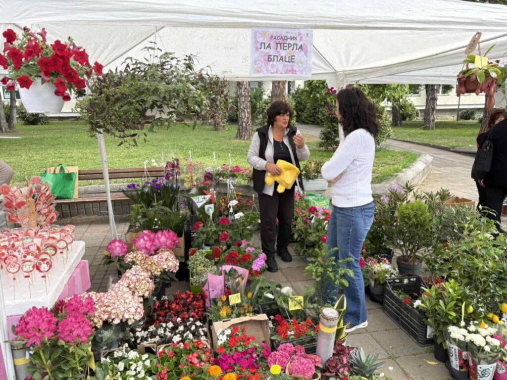 dbf12570-add0-4c70-aa2b-5d7a62469a30