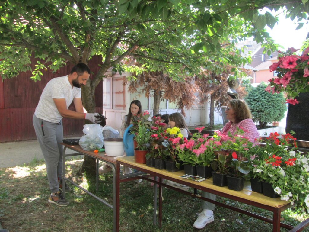 505890866_1220832496495614_8123173745372278630_n