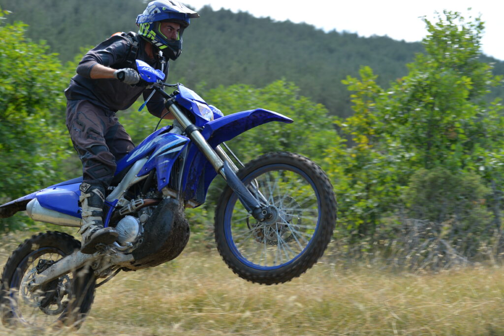 FOTO S.Jovicic +381 64 8733605