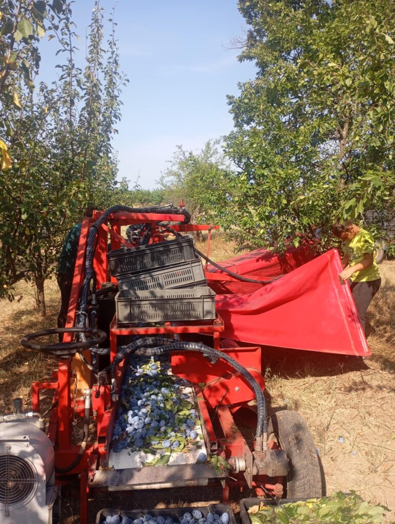 311c30ac-13e6-4a67-becc-00ee1d399122