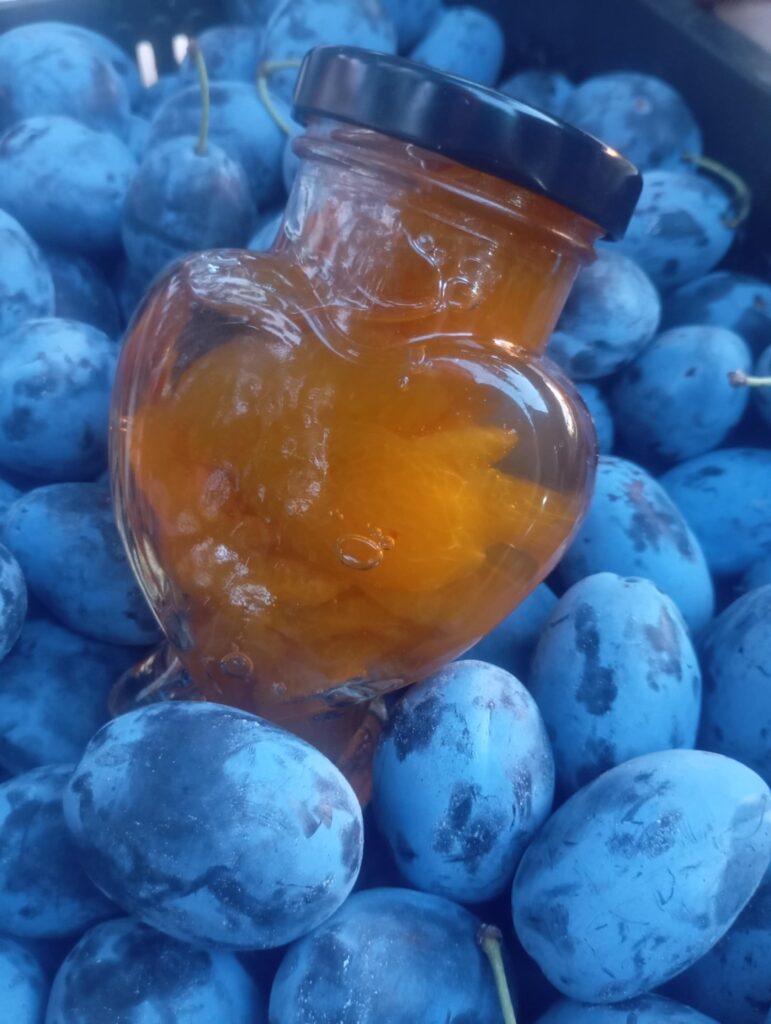 518ced0c-5556-498d-8936-2f4c8ed41220