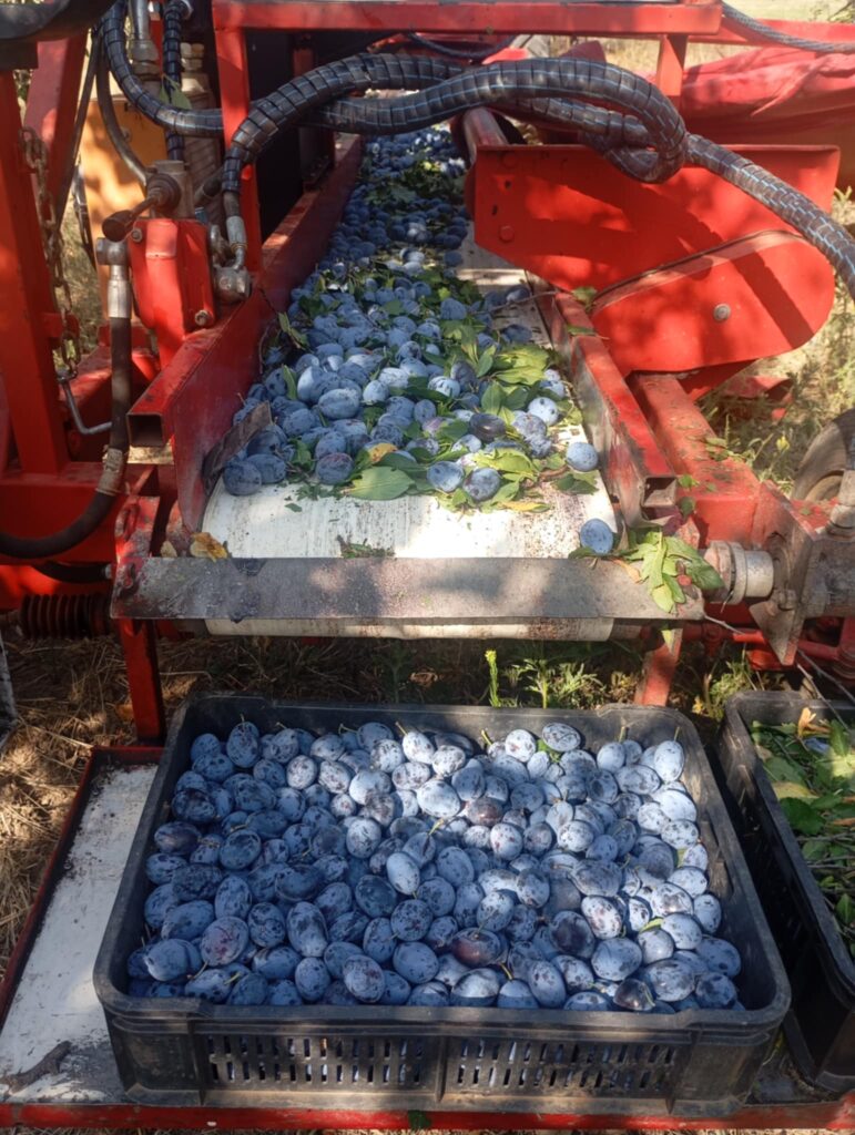 b4797762-4e79-464c-8807-4a671dbcc96d