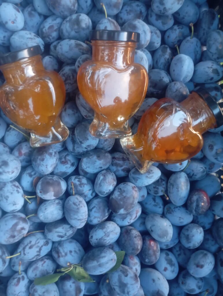 ea70fdd7-5c33-49a8-b30a-485b10a7947f