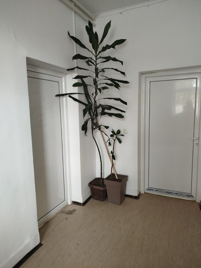 viber_image_2025-11-22_08-18-29-483