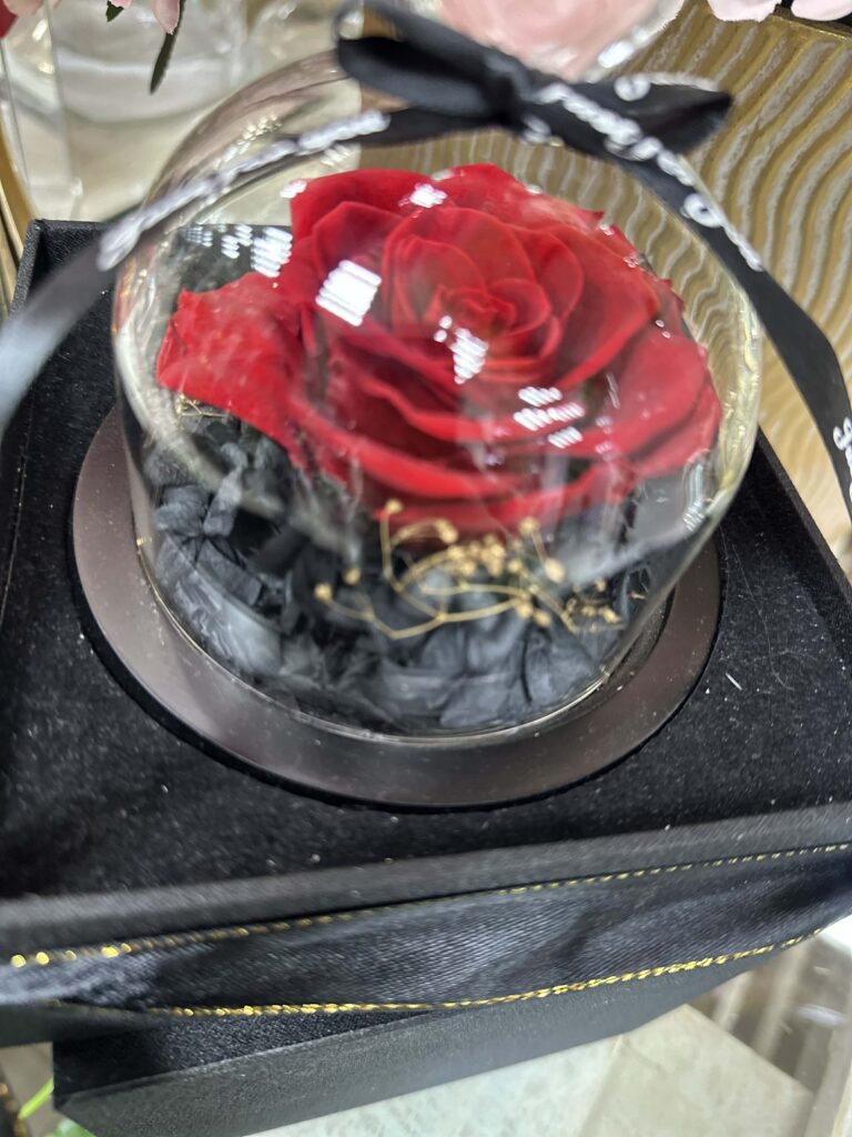 421cdb9a-3424-4d6f-b721-bf0f7c8b3def