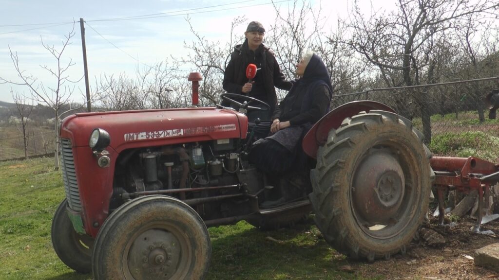 Baka Pavlika iz Topličke Velike Plane sa svojih 85 godina vozi traktor i obrađuje 4 hektara zemlje- Video TV Prva