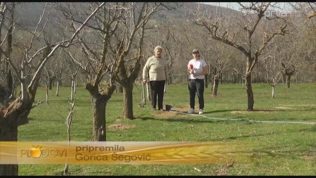 Iz Beograda došla u rodno Točane nadomak Kuršumlije – Video TV Prva