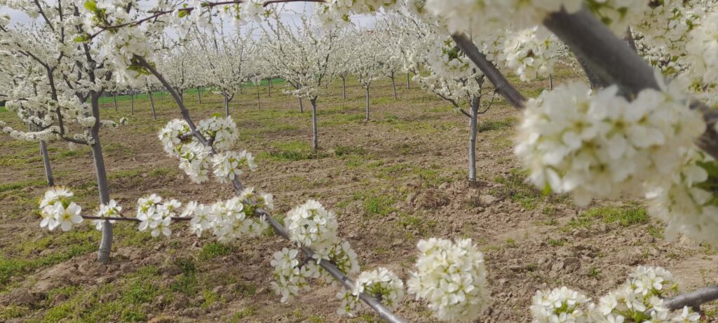 18327168-3f28-45e4-b9d8-65d901c13dc3