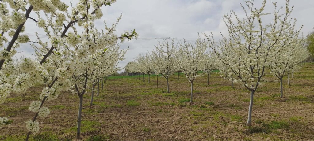 1872b60b-4d18-4365-b3c4-97aa753f89d6