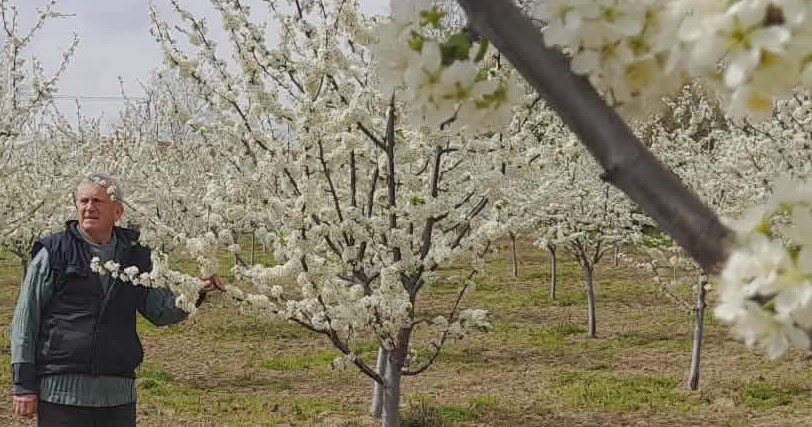 440b866a-ccea-43f5-981d-bc79dd97fe7b