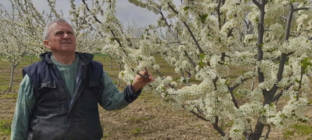 5b204ced-43dd-450f-8fff-8a6fd7fb291f