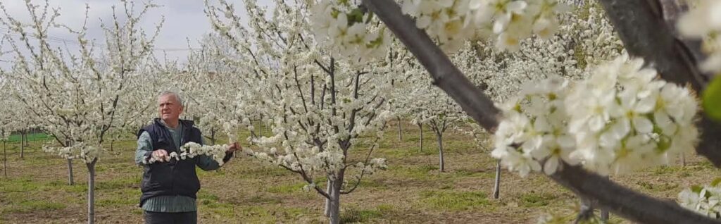 95eeafce-07eb-42ea-9fbd-33c87d74b18c