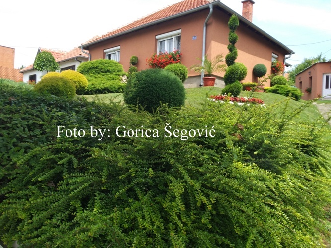 {"capture_mode":"AutoModule","faces":[]}