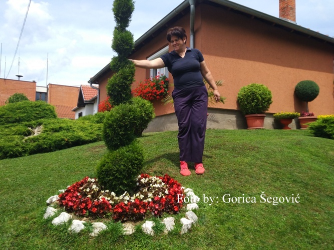 {"capture_mode":"AutoModule","faces":[]}