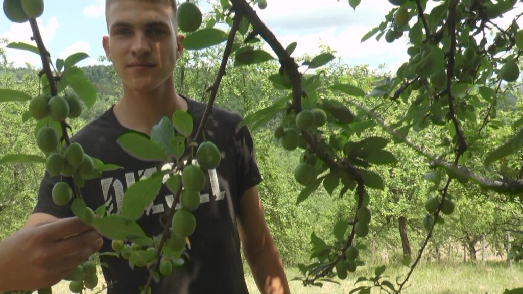 bscap2254